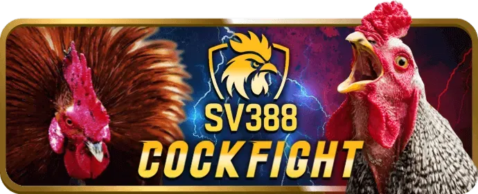 Mạng xã hội T68bet
